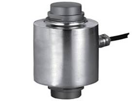 TipoCanis